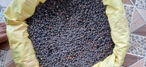 Raw Natural Organic Black Pepper Seeds, Color : Dark Brown