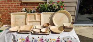 Areca Leaf Plate for Serving Food