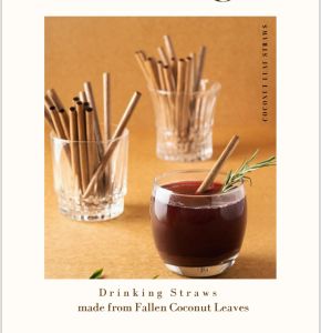 Coconut Leaf Straws