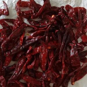 Organic 341 Stemless Dried Red Chilli Food Grade for Cooking