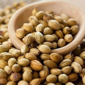 Organic Coriander Seeds, Seed Type : Natural Food Grade for Cooking