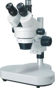 Microscope (Optical)