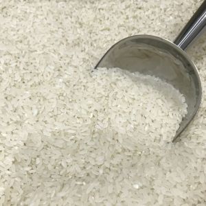 Medium Grain Basmati Rice