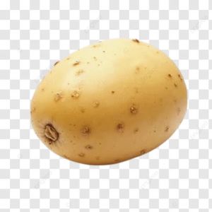 Potato