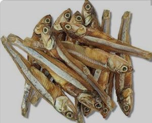 Dried Fish, Color : Brown for Cooking, Food, Human Consumption