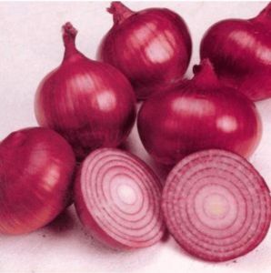 Red Onions, Packaging Size : 25Kg Loose, Net Bag