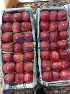 Kashmiri Apple