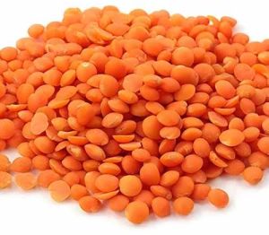 A Grade Red Masoor Dal, Packaging Type : Bag for Cooking