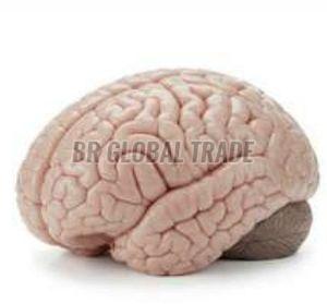 Frozen Buffalo Brain, Packaging Type : Vacuum-sealed