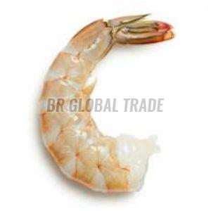 Frozen Sea White Shrimp