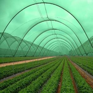 Agro Shade Net, Color : Green 1m X 50m, 2m X 100m