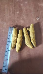 Natural Turmeric, Color : Dark Yellow, Light Yellow, Yellow Dried
