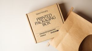 Paper Carton Corrugated Boxes, Brand Name : SPEED PACKAGING