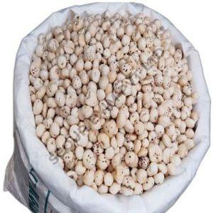 5 Plus Suta HP Makhana, Color : White, Taste : Light Sweet