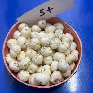 5 Plus Suta Makhana, Color : White, Taste : Light Sweet