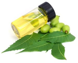 Neem Oil
