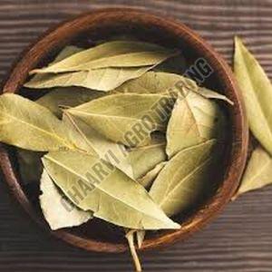 Bay Leaf, Color : Green, Packaging Type : Sealed Container