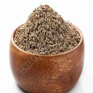 cumin seeds, Packaging Type : Brown for Cooking, Seasoning
