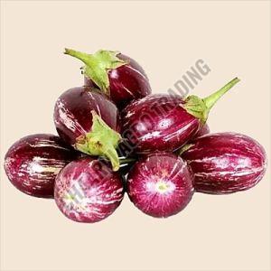 Fresh Brinjal, Color : Purple, Packaging Type : Net Bag for Cooking