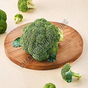 Fresh Broccoli, Color : Green
