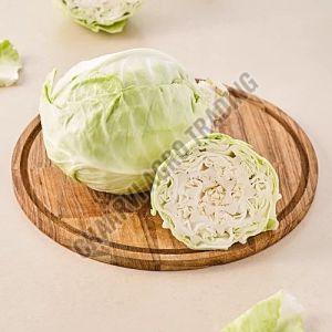 Fresh Cabbage, Color : Green for Cooking