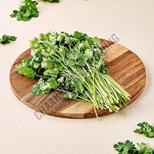 Fresh Coriander Leaves, Color : Green, Packaging Type : Bunch