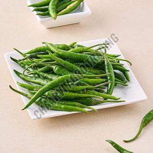 Fresh Green Chilli, Packaging Type : Loose Or In A Plastic Bag