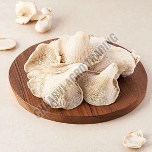 Fresh Mushrooms, Color : White Or Brown, Quality Available : A Grade