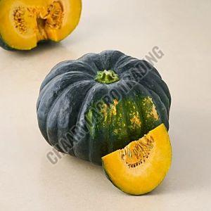 Fresh Pumpkin, Color : Orange, Speciality : Natural Taste, Healthy