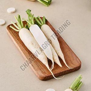 Fresh Radish, Color : White for Cooking