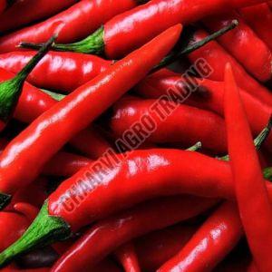 Fresh Red Chilli, Packaging Type : Jute Bag