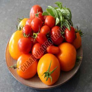 Fresh Tomatoes, Color : Red, Speciality : Rich In Taste, Healthy