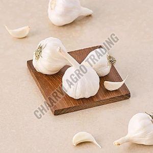 Fresh White Garlic, Packaging Type : Gunny Bag for Cooking