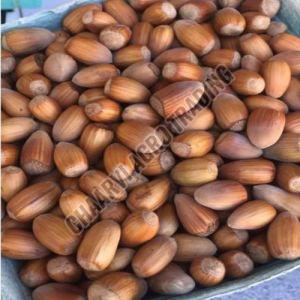 Hazelnut, Color : Brown, Taste : Light Sweet