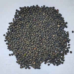 Whole Black Urad Dal