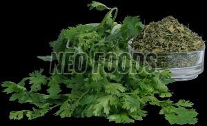 Coriander Flakes, Packaging Type : Green