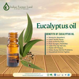 Eucalyptus Oil for Aromatherapy, Massage, Diffuser