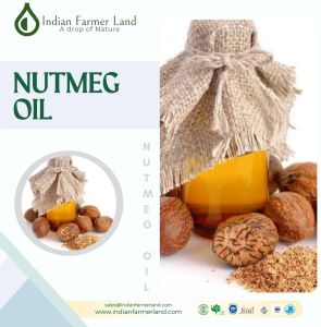 Nutmeg Oil, Form : Liquid