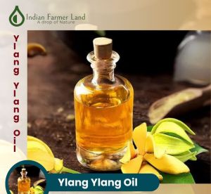 Ylang Ylang Oil, Form : Liquid