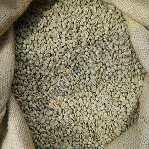 AA Grade Washed Arabica Coffee Beans, Color : Green