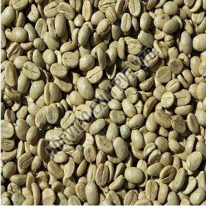 AB Grade Washed Robusta Coffee Beans, Color : Green