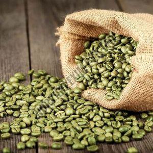 PB Grade Arabica Cherry Coffee Beans, Color : Green