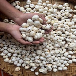 4 Plus Suta Phool Makhana, Packaging Type : Sealed Pouch