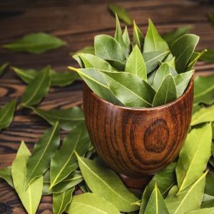 Bay Leaves