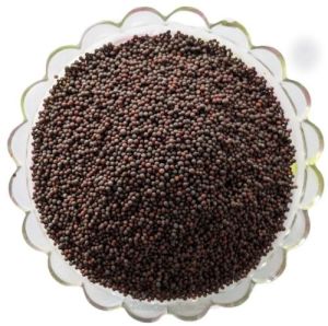 Black Mustard Seeds