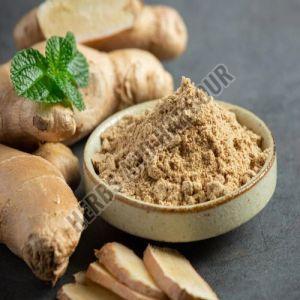 Ginger Powder, Packaging Type : Light Yellow