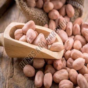 Groundnut Seeds for Cooking, Snacking, Packaging Type : Brown