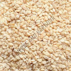 Sesame Seeds, Packaging Type : White for Cooking, Baking, Seasoning