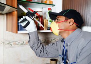 Pest Control Gel Treatment Service