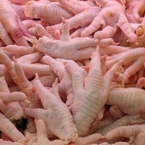 Frozen Chicken Paw Feet